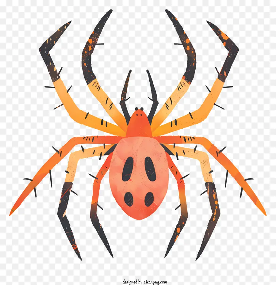 Aranha，Arachnid PNG