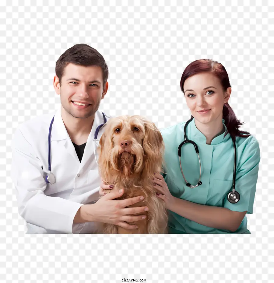 Cachorro，Profissionais Médicos PNG