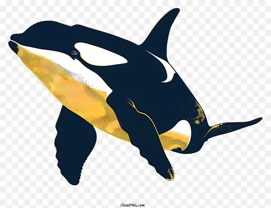 Baleia Assassina，Orca PNG