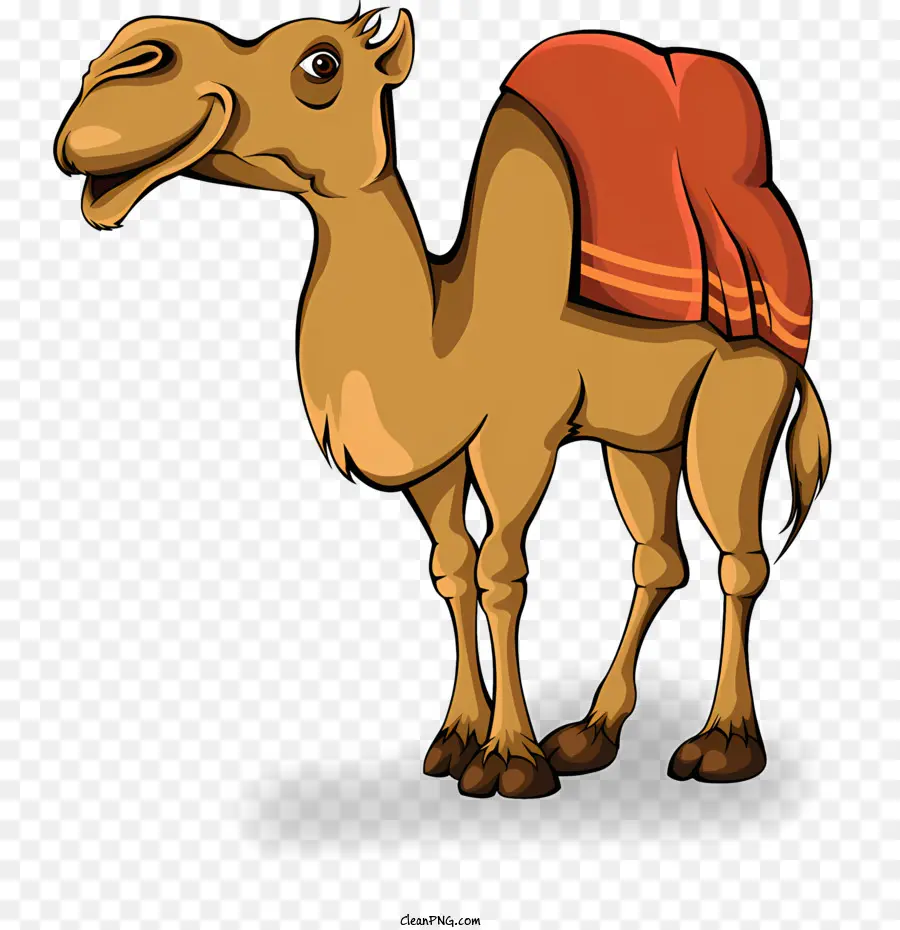 Camelo，Cartoon Camelo PNG