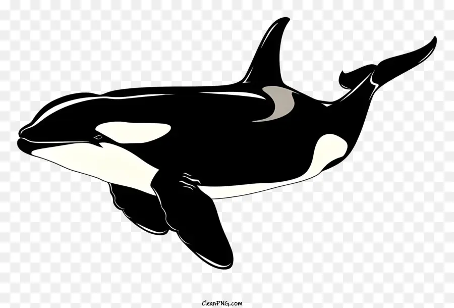 Baleia Assassina，Baleia Orca PNG