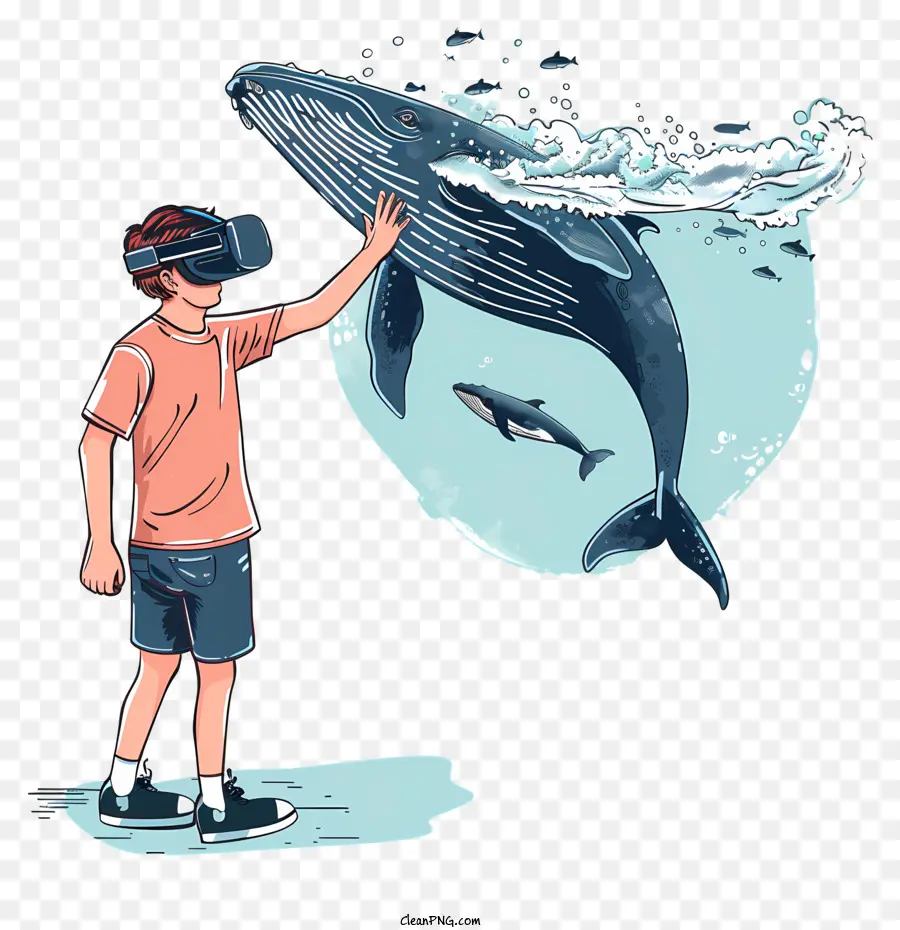 Óculos De Realidade Virtual，Baleia Vr PNG