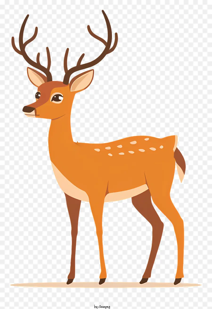 Deer，A Vida Selvagem PNG