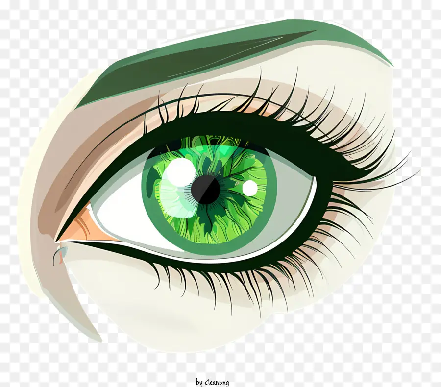 Olho Verde，Cílios PNG