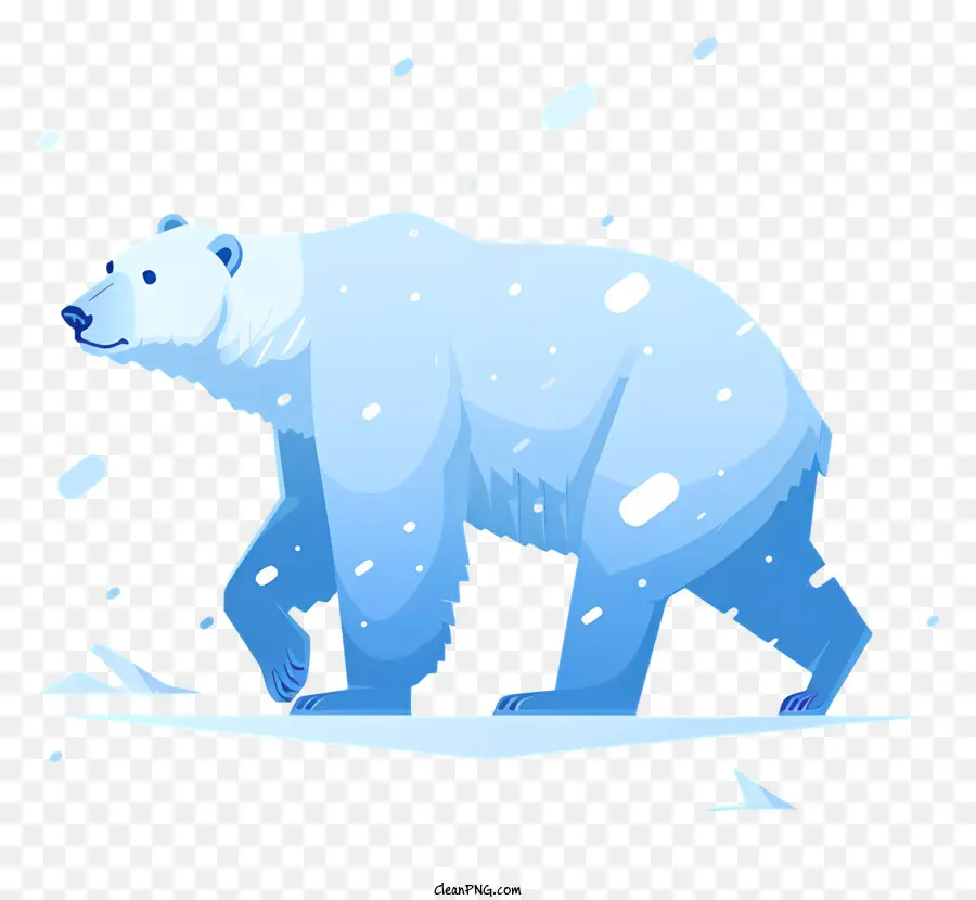 Urso Polar，Vida Selvagem Do Ártico PNG