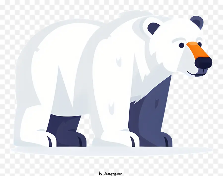 Urso Polar，ártico PNG