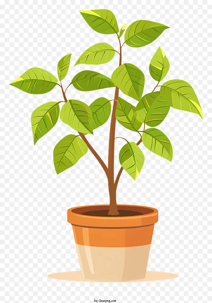 Plantar Em Vaso，Planta Verde PNG