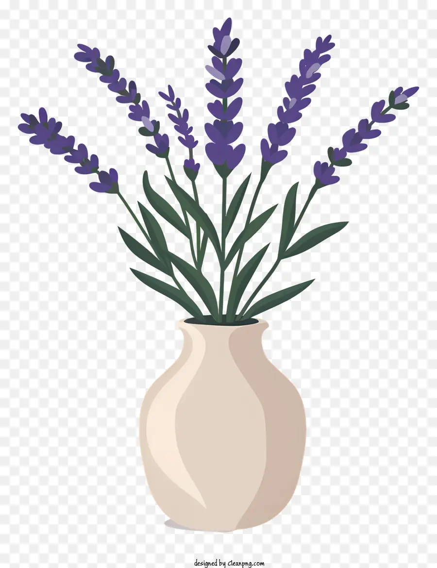 Lavanda，Flores De Lavanda PNG