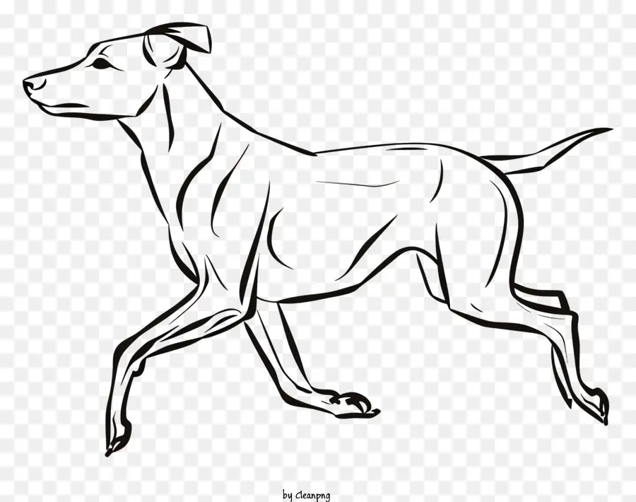 Cachorro De Uma Linha，Cachorro PNG