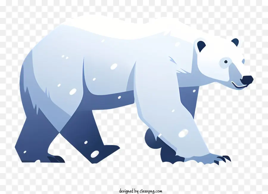 Urso Polar，De Pé PNG