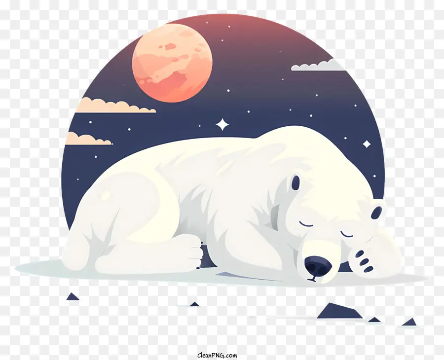 Urso Polar，Neve PNG