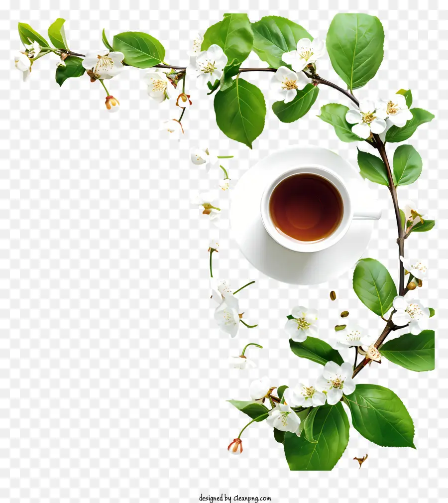 Hora Do Café Da Primavera，Xícara De Chá Com Flores Brancas PNG