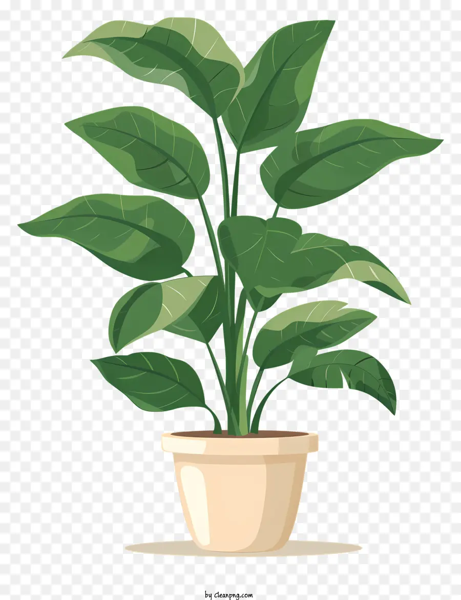 Planta Em Vaso，Planta Interna PNG