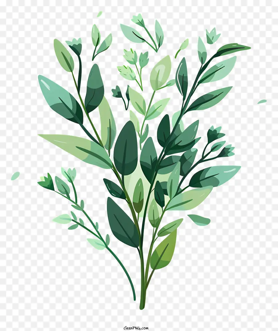 Raminho Verde，Folhas Verdes PNG
