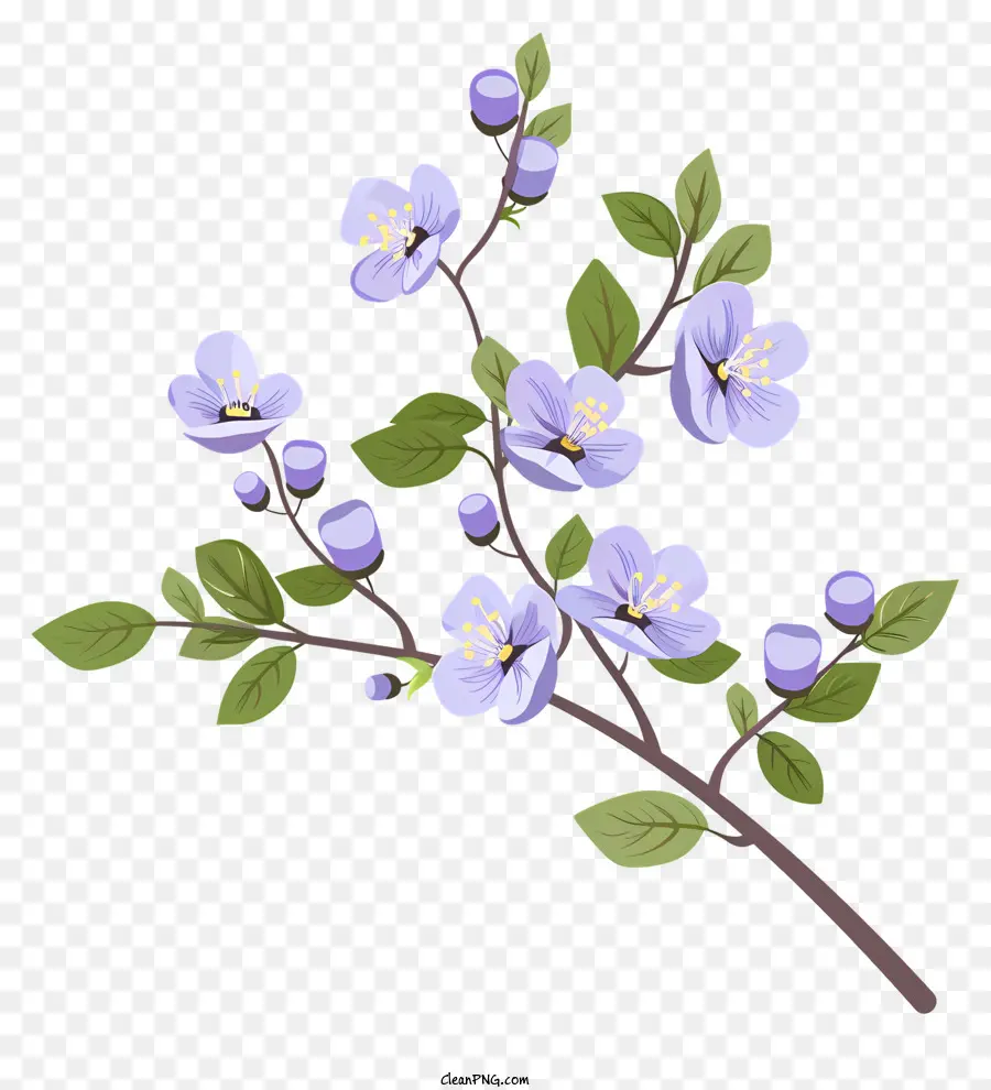 Flores Roxas Florescendo，Flores Azuis PNG