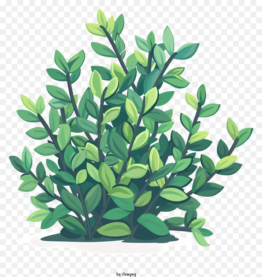Arbusto，Folhas Verdes PNG