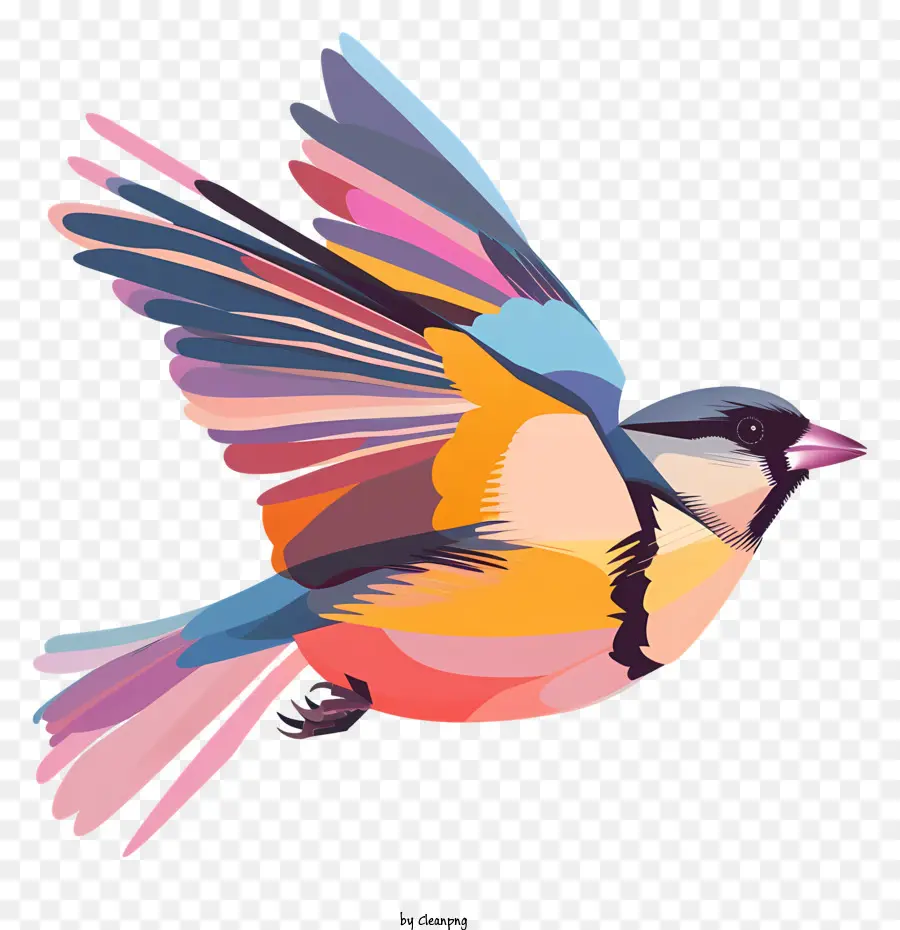 Pássaro Voando，Pássaro Colorido PNG