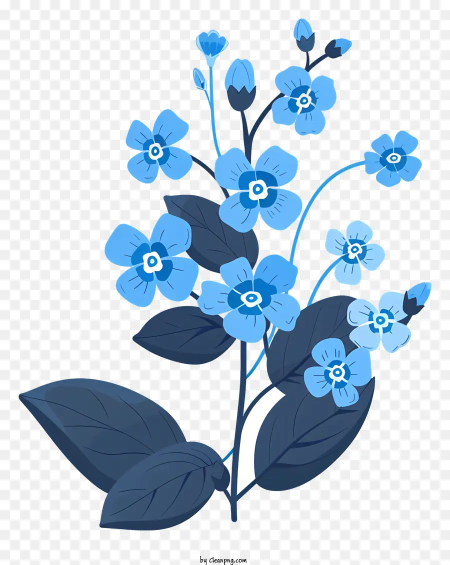 Esquecendo Com Folhas，Flor Azul PNG