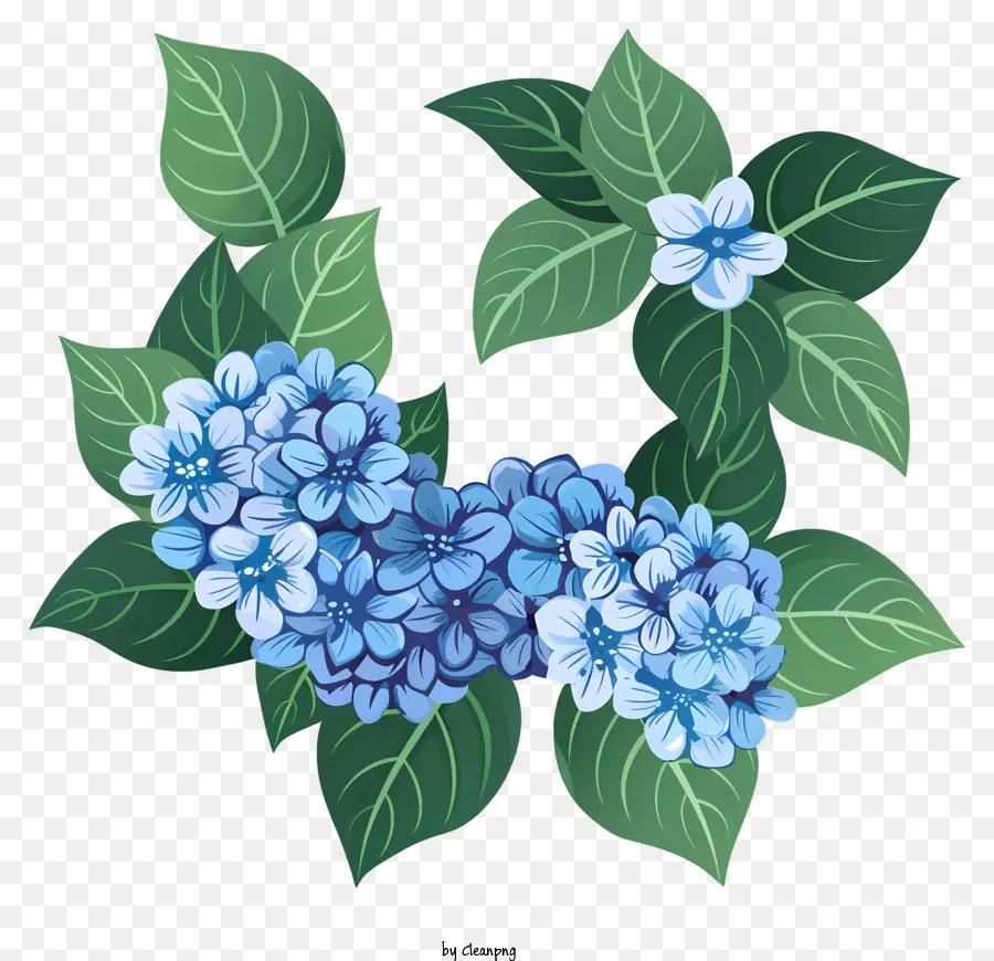 Hortênsias，Coroa De Hortênsia Azul PNG