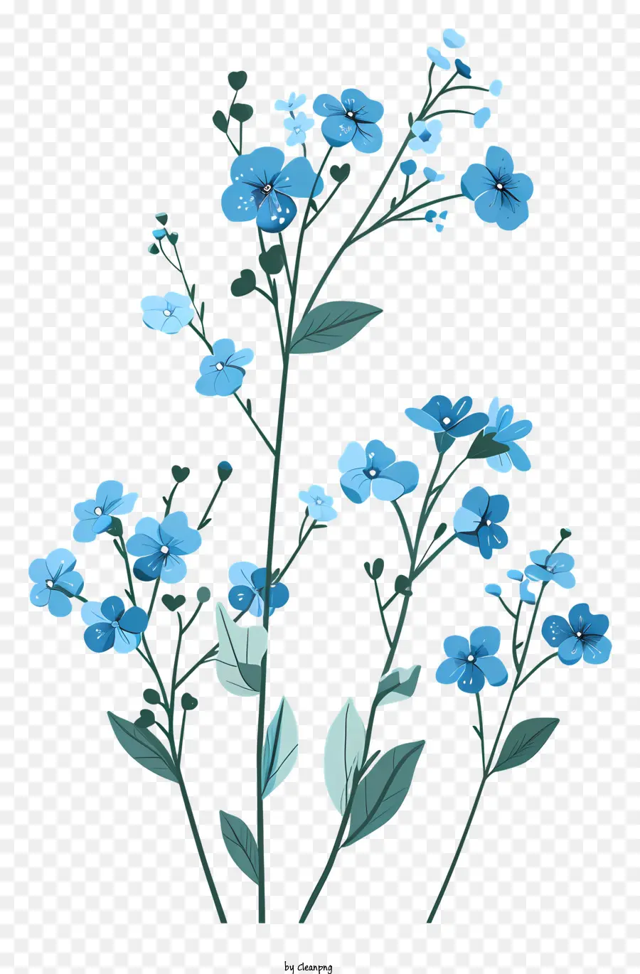 Esqueça Me Nots，Flor Azul PNG