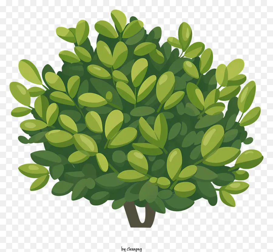 Arbusto，árvore Verde PNG