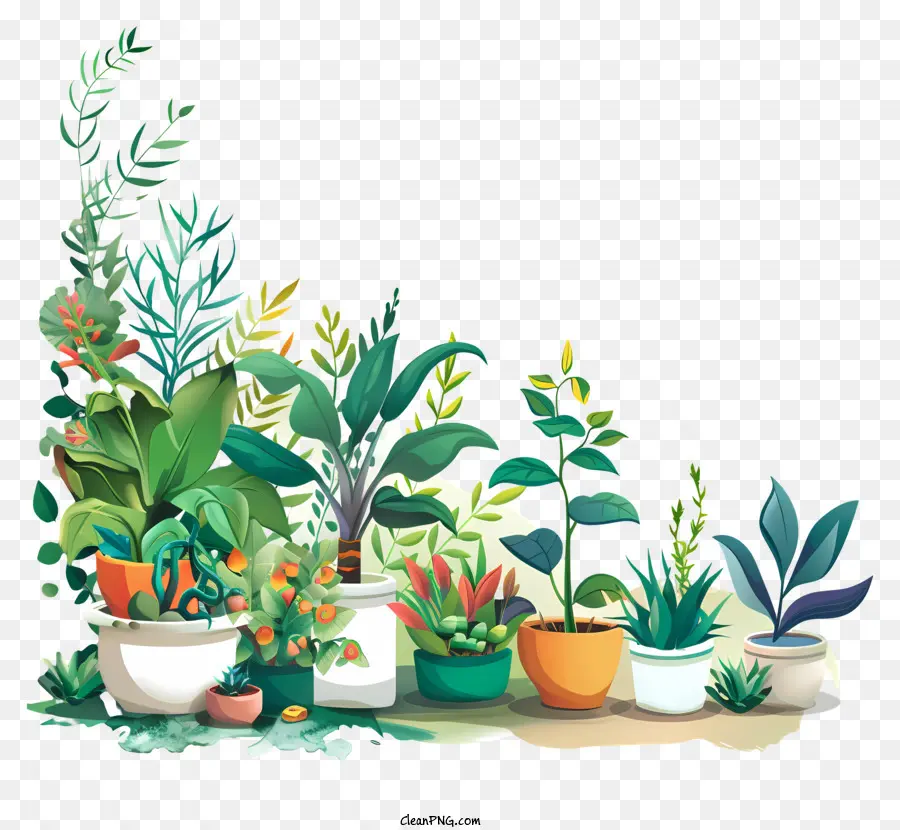 Jardinagem Dia，Plantas De Interior PNG