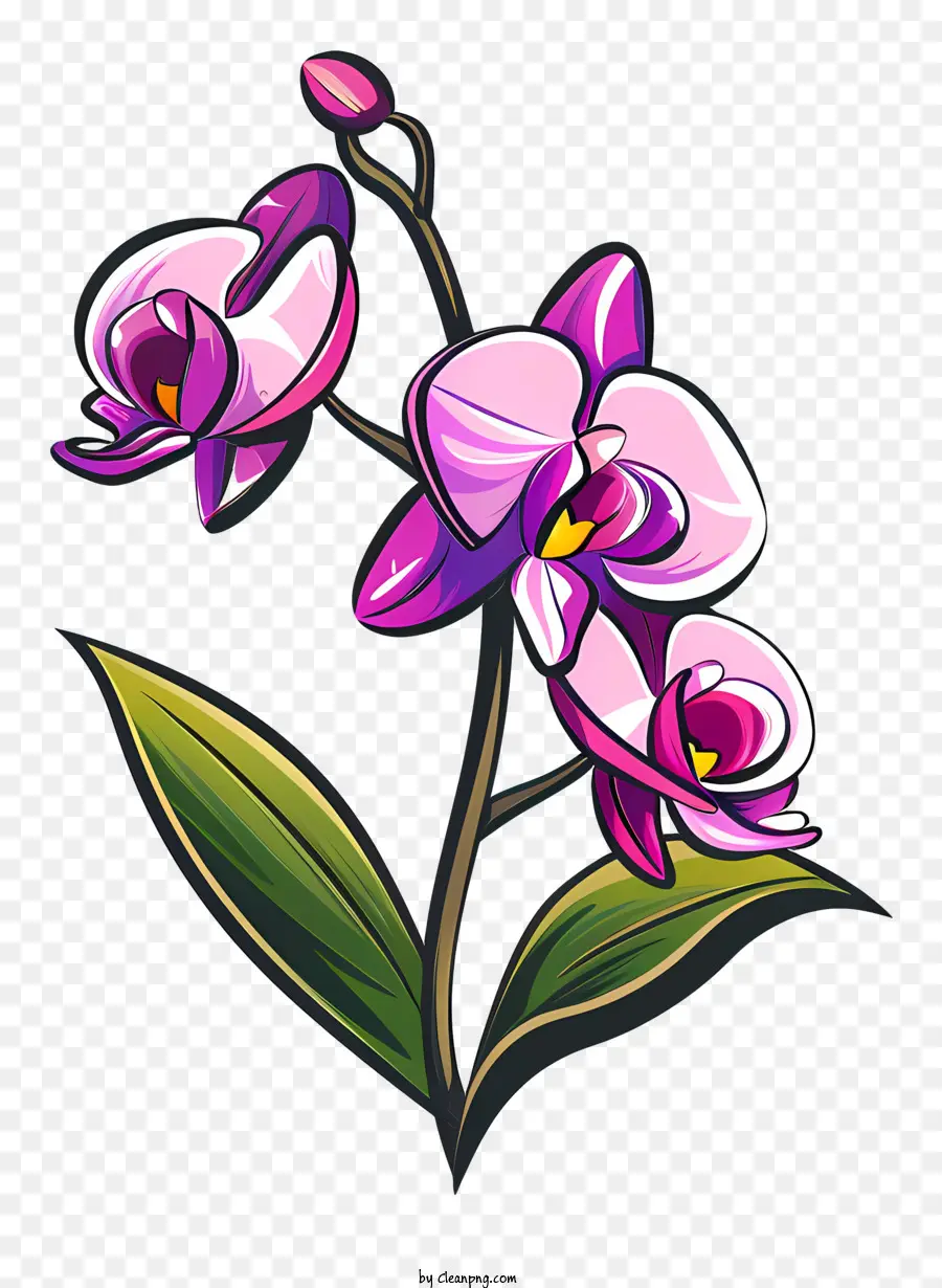 Dia Da Orquídea，Flor PNG