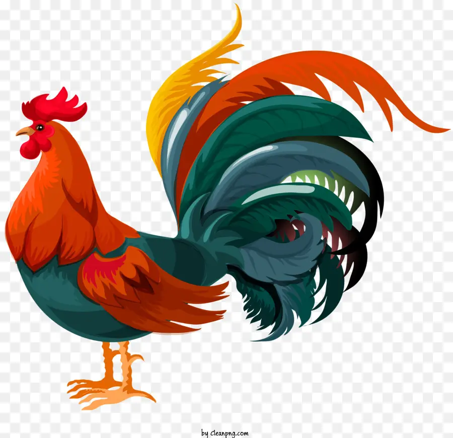 Aves，Cartoon Galo PNG