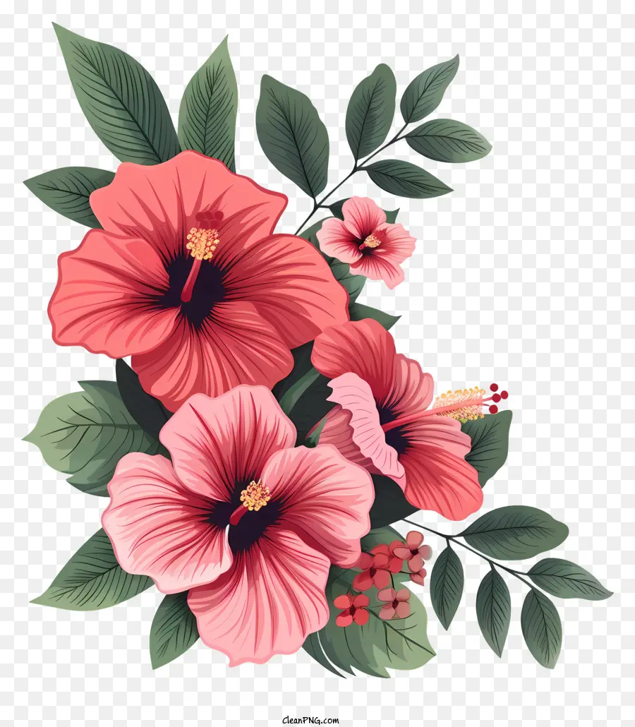 Canto Das Flores De Hibiscus，Flores De Hibisco PNG
