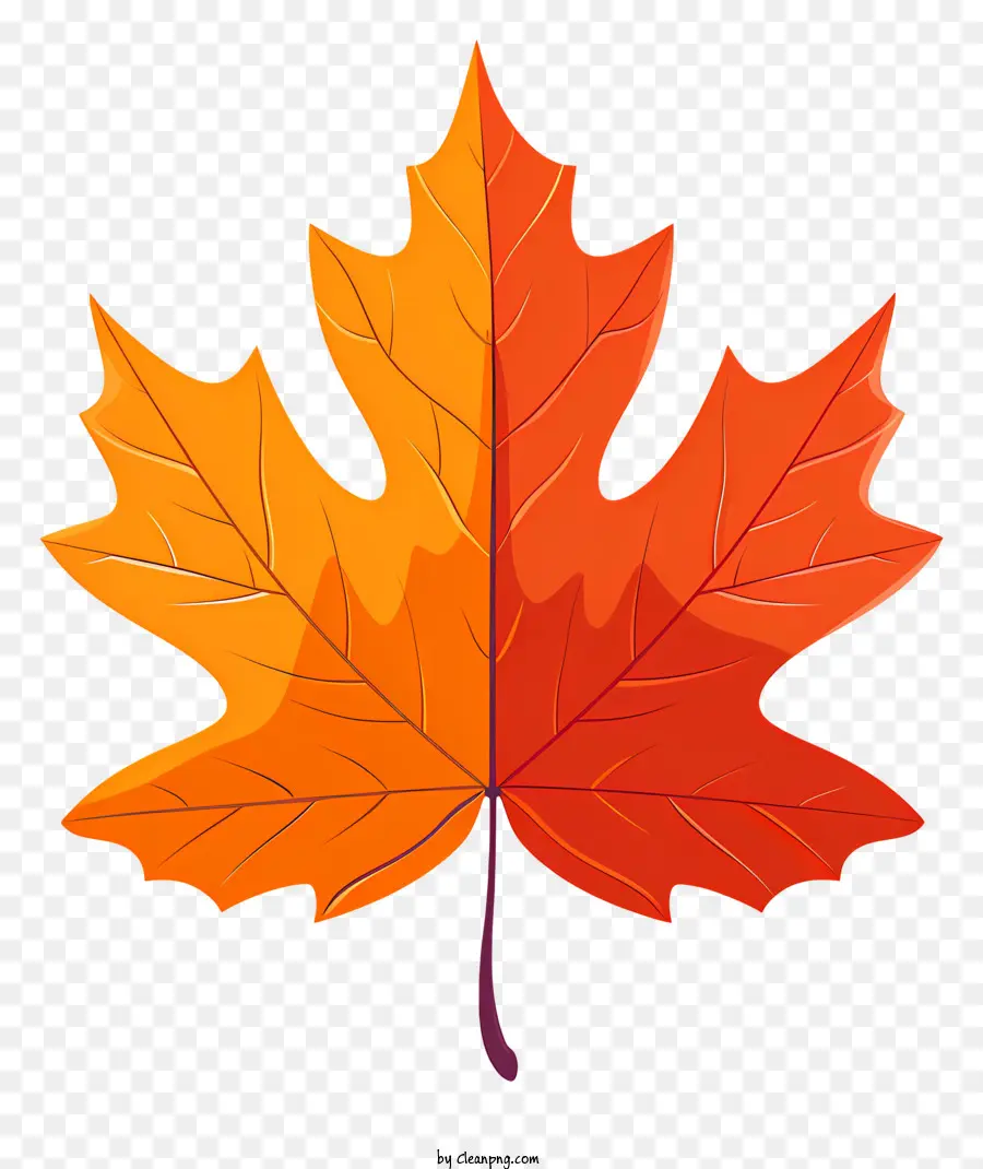 Maple Leaf，Autumn Leaf PNG
