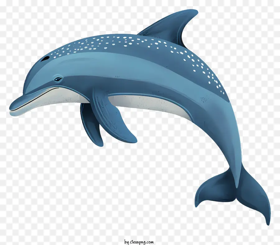 Dia Dos Golfinhos，Dolphin PNG