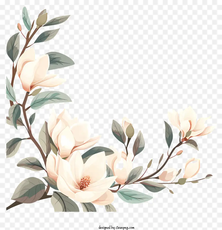 Magnolia Flowers Corner，Pintura Das Flores PNG