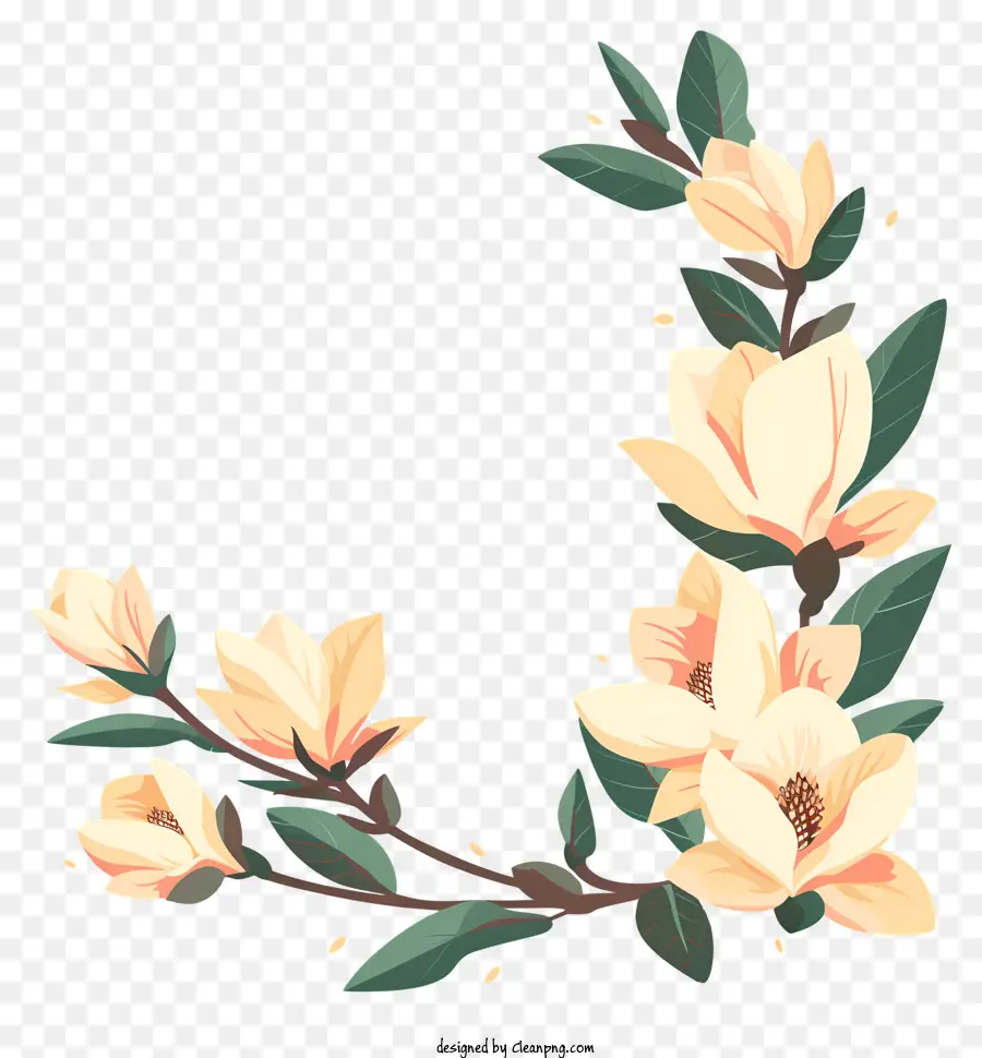 Magnolia Flowers Corner，Magnolia PNG