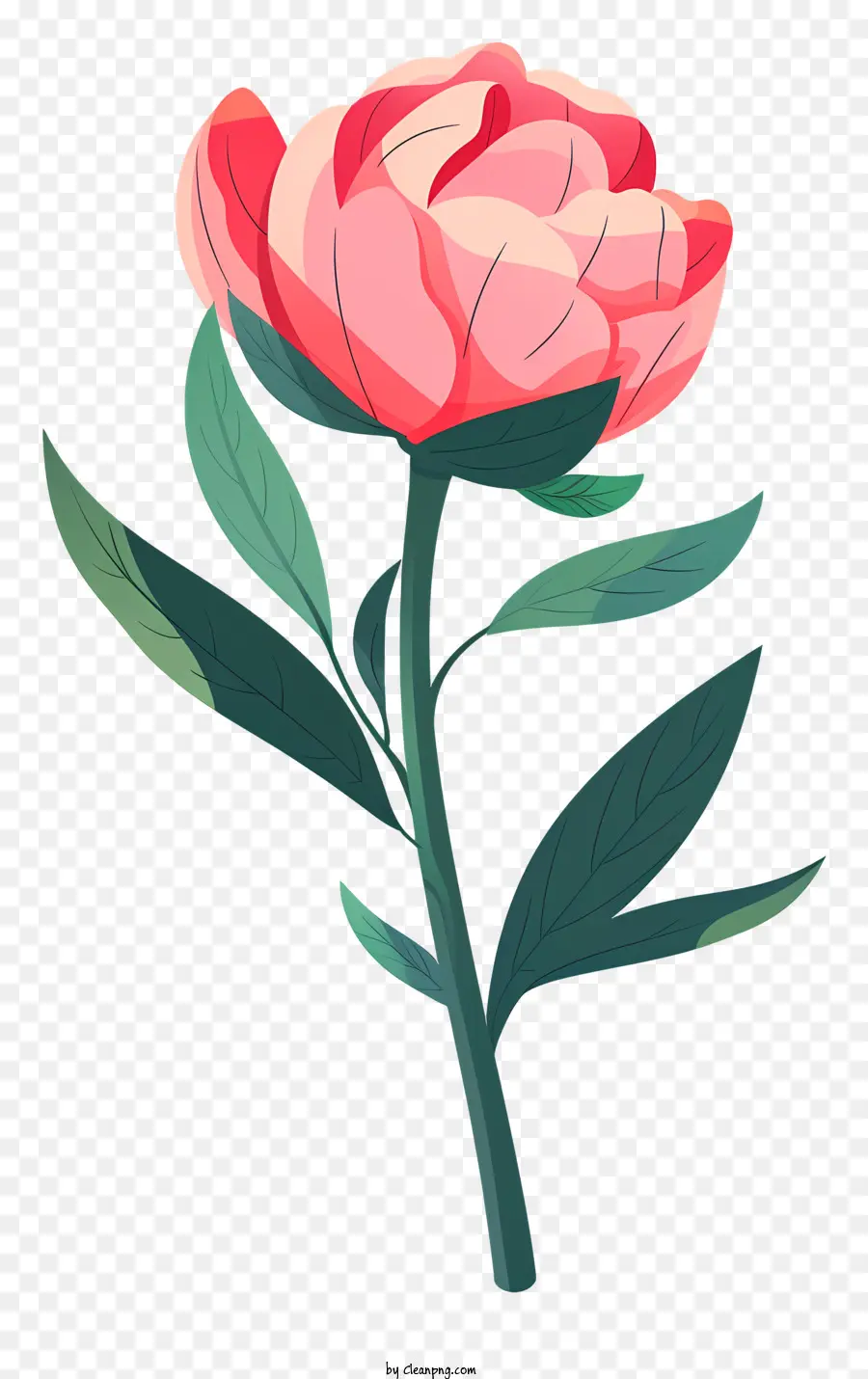 Flor De Peônia，Flor Vermelha PNG