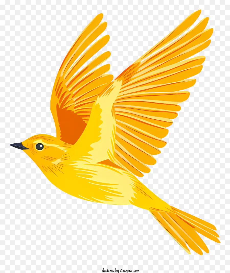 Pássaro Voando，Pássaro Amarelo PNG
