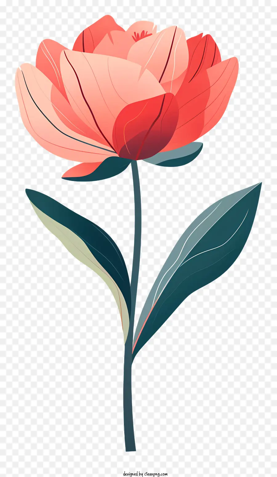 Flor De Peônia，Flor Vermelha PNG