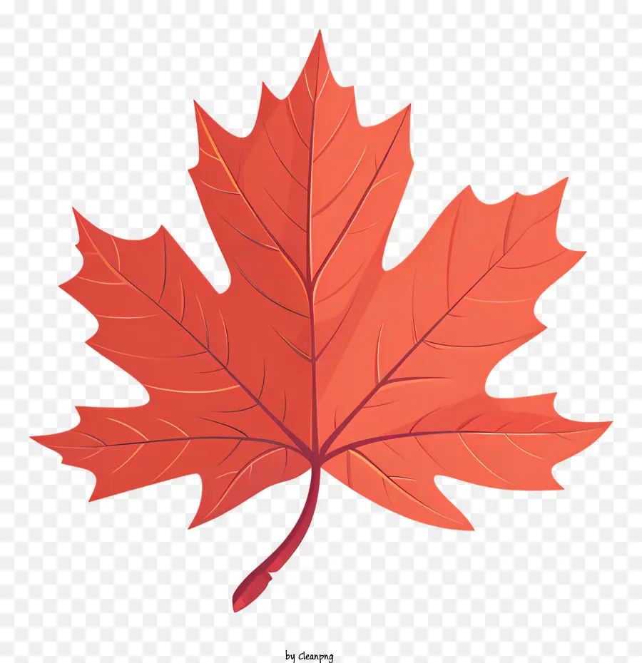 Maple Leaf，Red Maple PNG