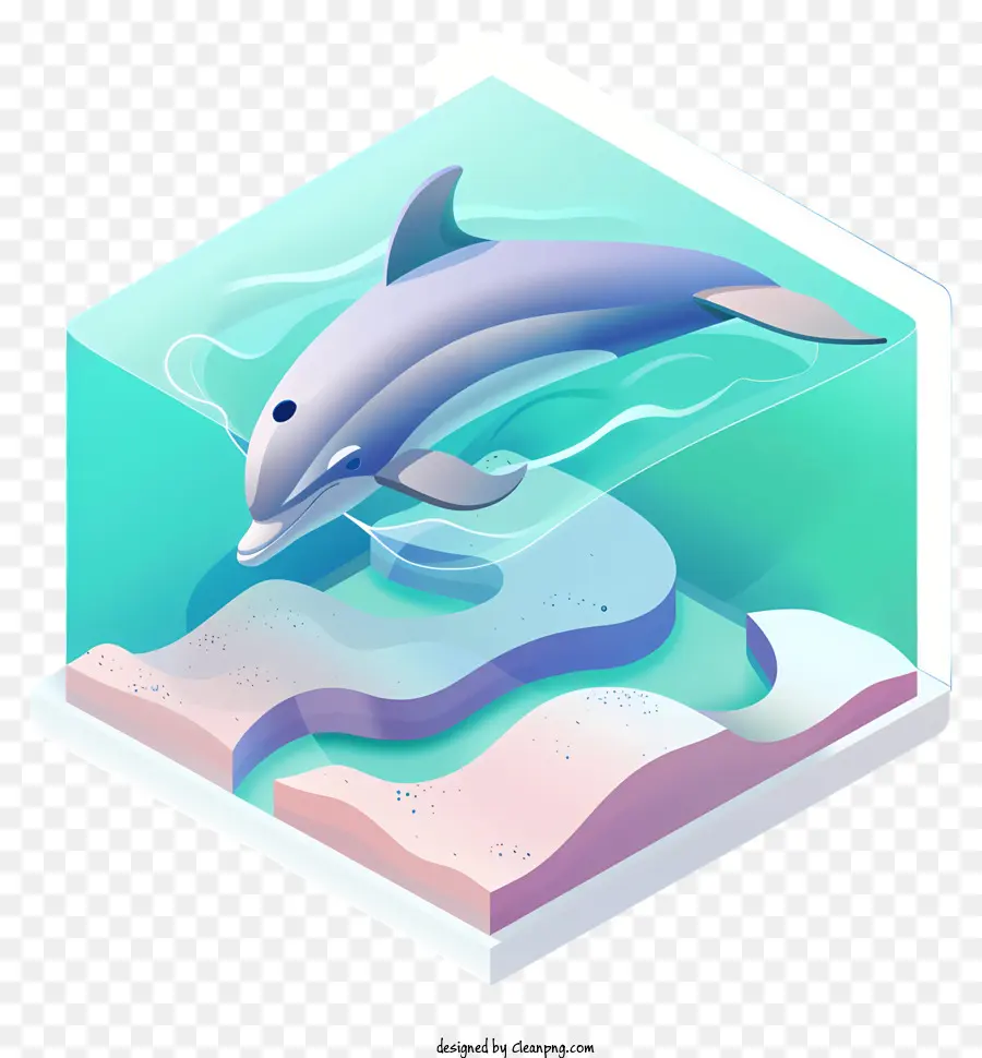 Dia Dos Golfinhos，Dolphin PNG