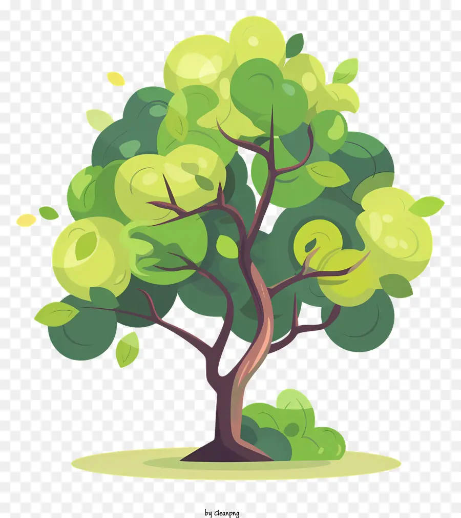 Decorativo árvore，árvore Verde PNG
