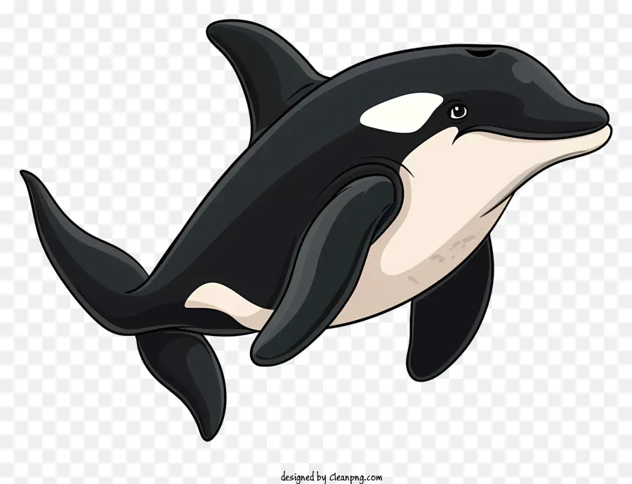 Baleia Assassina，Baleia Orca PNG