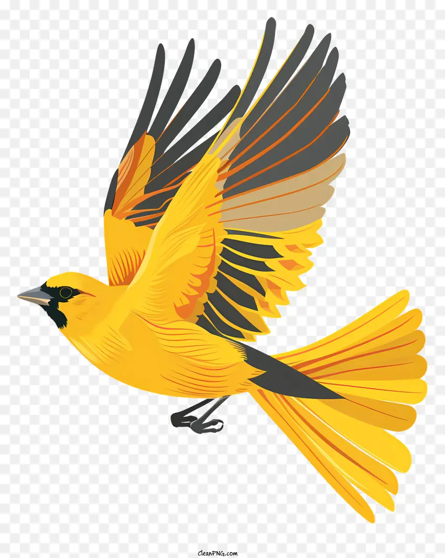 Pássaro Voando，Pássaro Amarelo PNG