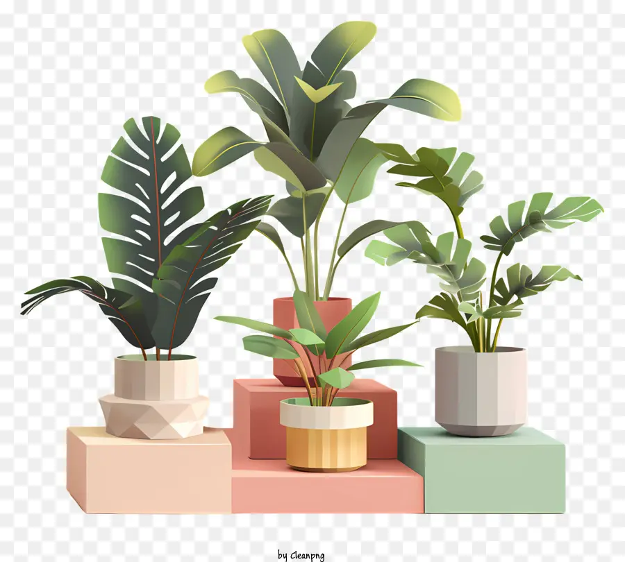 Plantas Interiores，Vasos De Plantas PNG