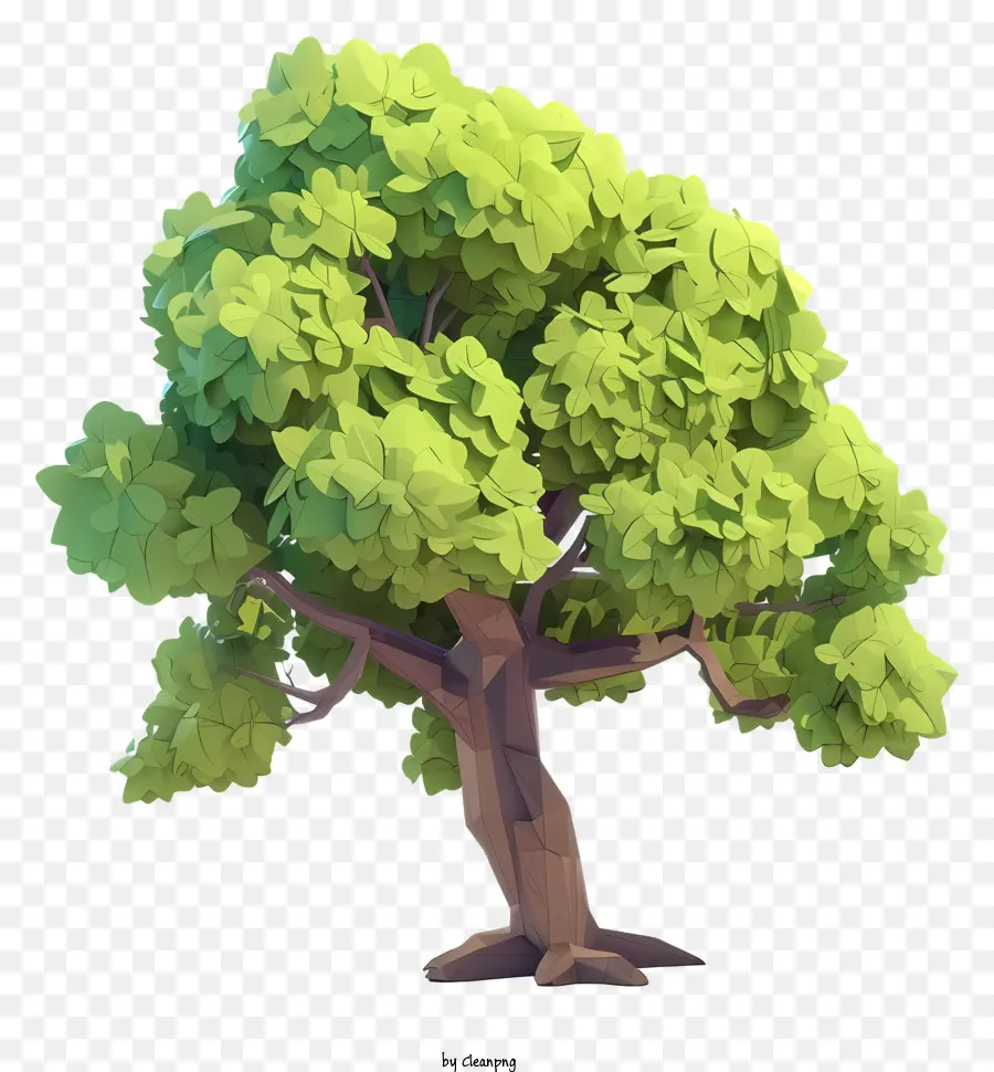3d Oak Tree，árvore PNG
