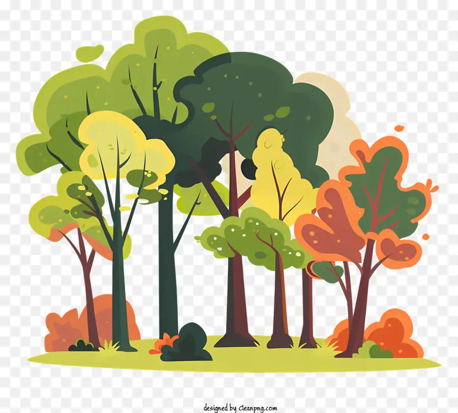 árvores Da Floresta，Floresta PNG