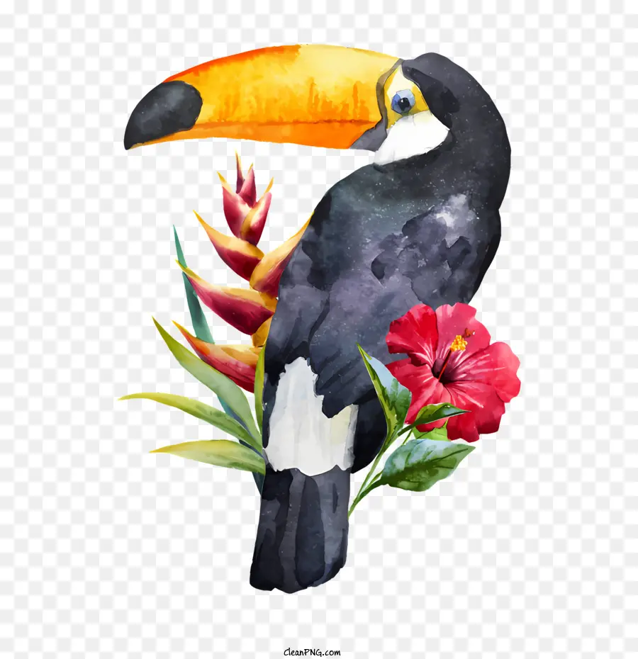 Aves，Ilustração Em Aquarela PNG