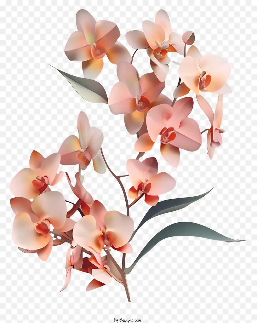 Dia Da Orquídea，Ilustração 3d PNG