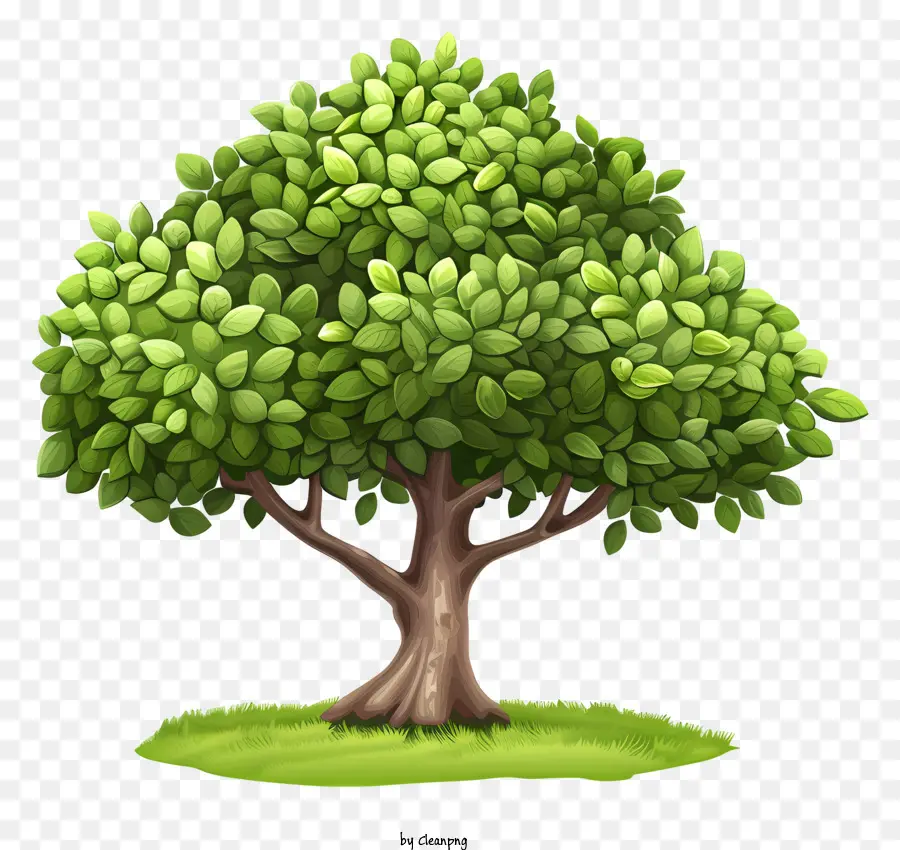 Arbor Day，Galhos De árvores PNG