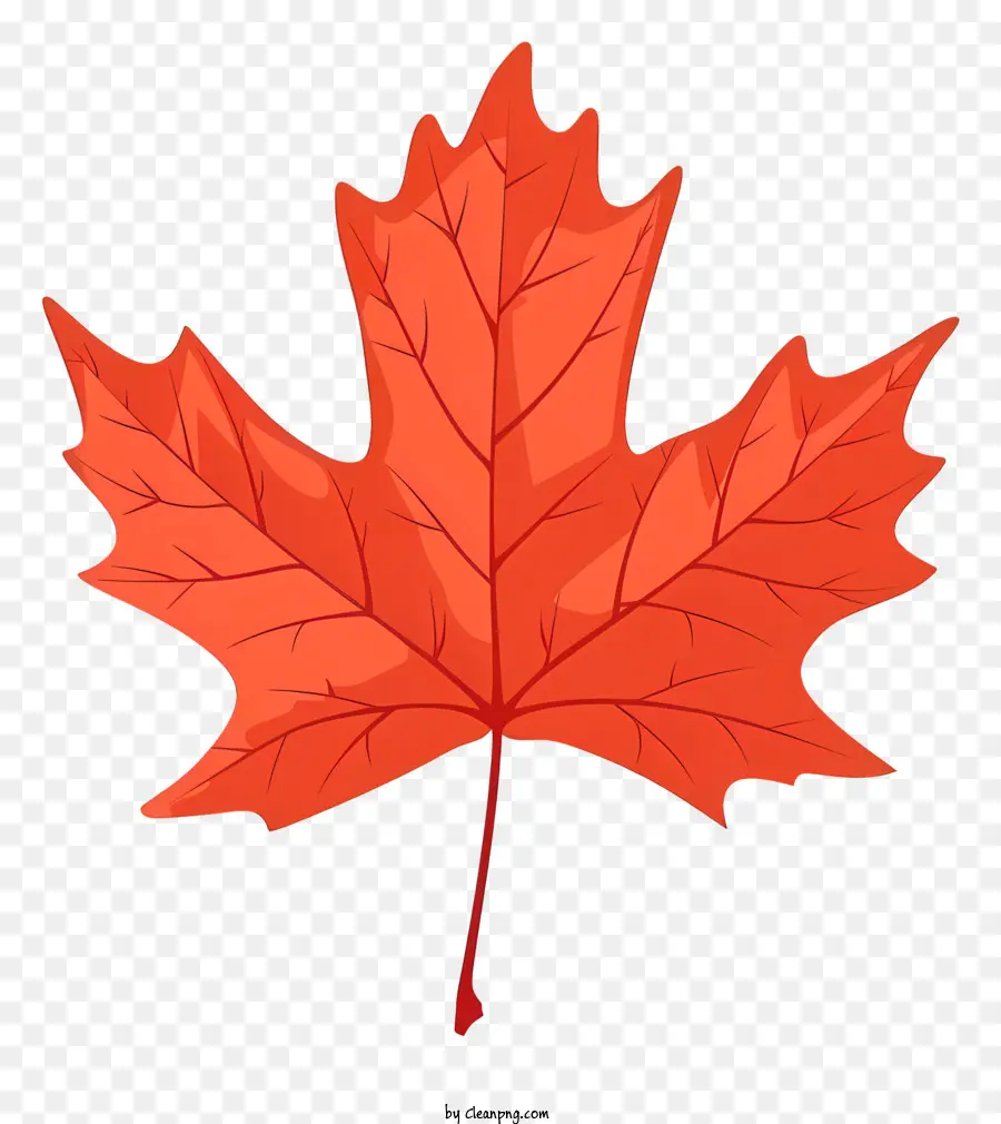 Maple Leaf，Folha Vermelha PNG