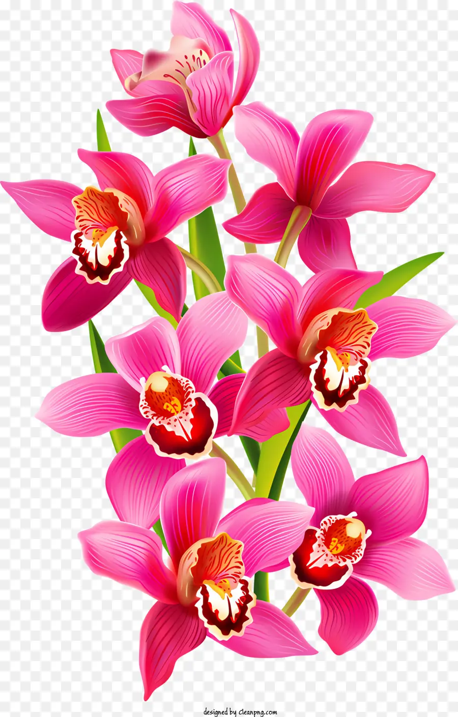 Blumen，Flor PNG