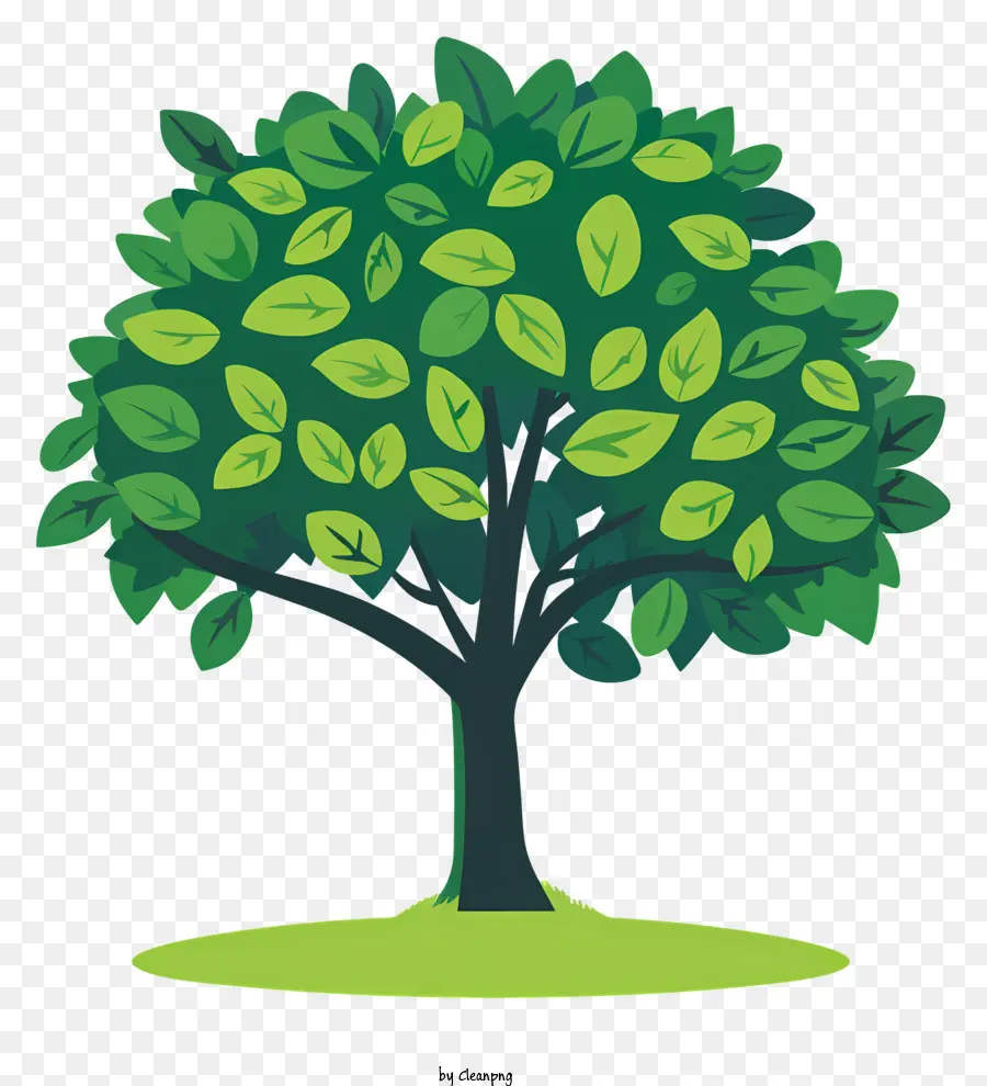 Arbor Day，árvore PNG